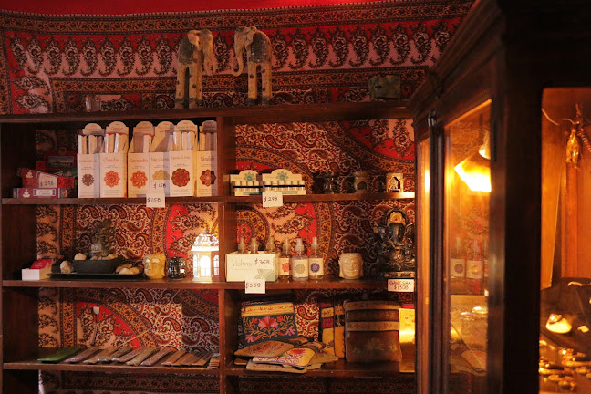 Elefante Bengal •ꜱᴀʙᴏʀᴇꜱ ᴅᴇ ʟᴀ ɪɴᴅɪᴀ•