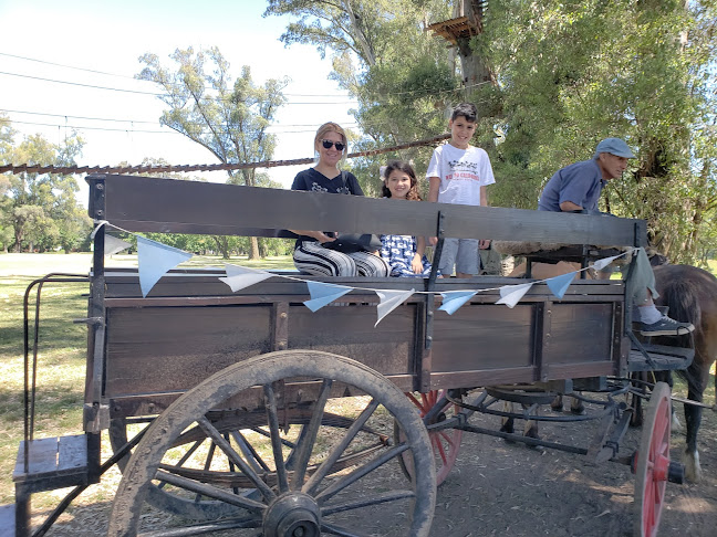 Comentarii opinii despre RODIZIO Campo Luján