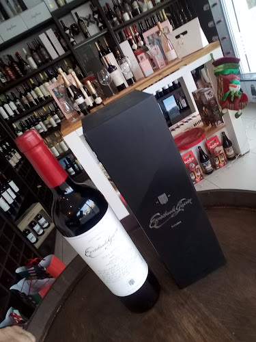 Opinii despre Vinic în San Nicolás de Los Arroyos - Gastronomía y hostelería