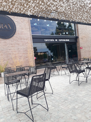 Fran Coffee Makers - Estacion Torreon