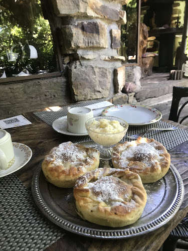 Opinii despre La Cabaña Del Bosque în Mar del Plata - Gastronomía y hostelería