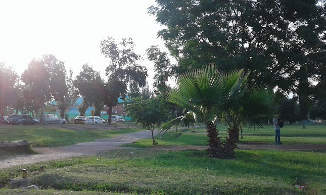 Milanesas Mediterraneas - Villa Nueva