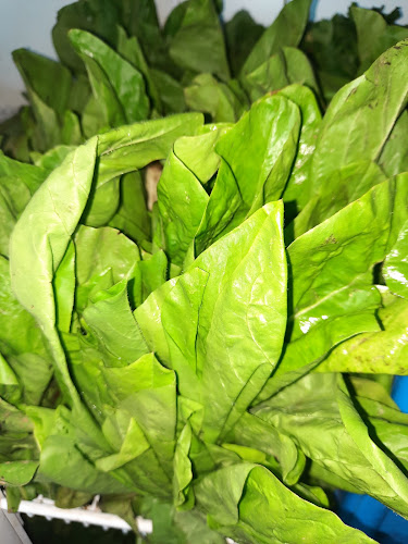 Verduleria Gauna - Gastronomía y hostelería