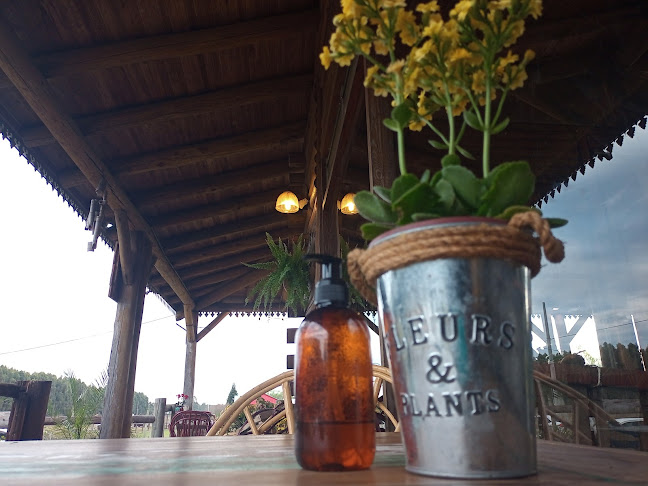 Comentarii opinii despre Cafeteria Vivero Yeruá