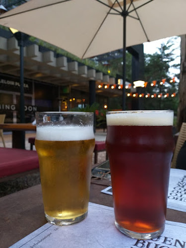 Comentarii opinii despre Rocky Garden