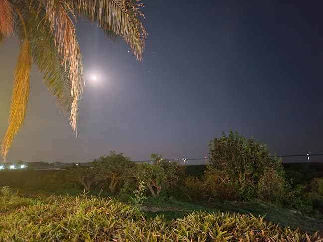 Opinii despre Catalejo Resto Bar în San Isidro - Gastronomía y hostelería
