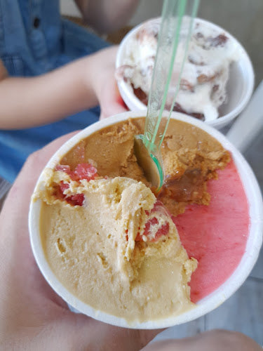 Comentarii opinii despre Brissari