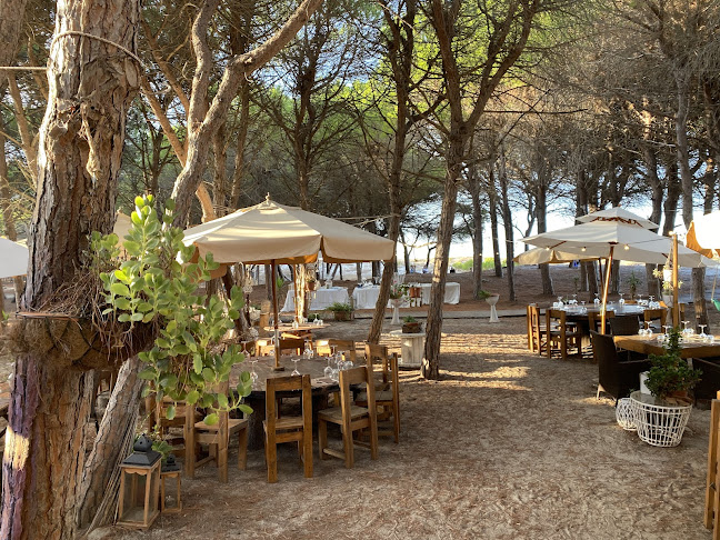 La Corona di Ichnos - Gastronomía y hostelería