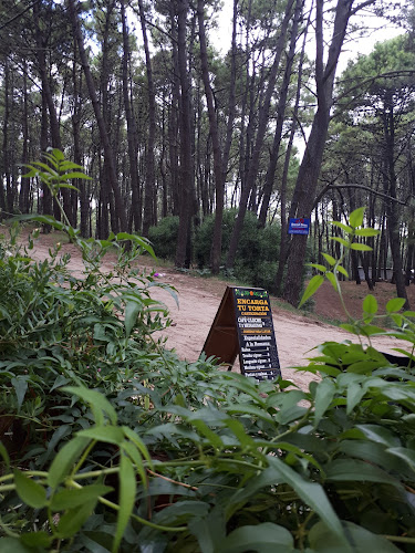 El Boliche de la Abu - Gastronomía y hostelería