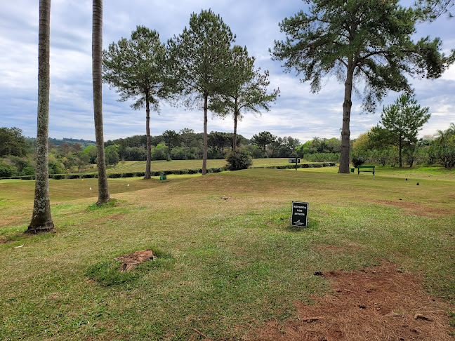 Camellias Golf Campos de Te - Gastronomía y hostelería