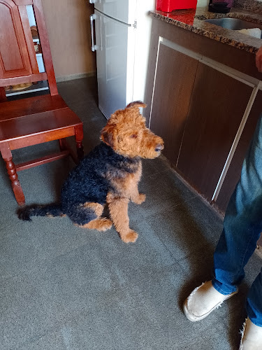 Opinii despre Parrilla La Querencia în Gral. Pico - Gastronomía y hostelería