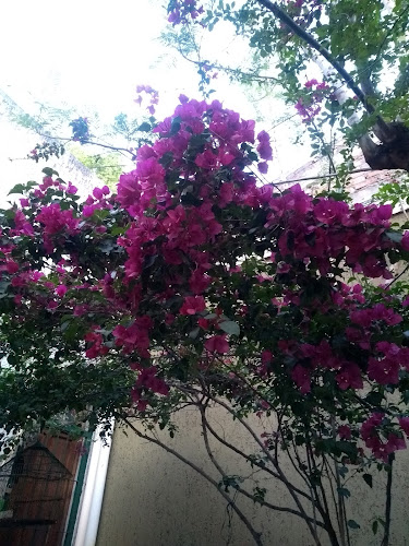 Tostadero de Cafe Puerto Rico