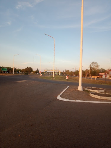 Panaficacion ALEGRE - Concordia