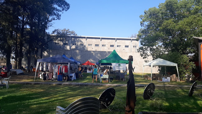 Comentarii opinii despre Lena Café y Mate