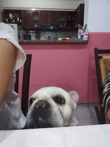 Horacio Perniles - Gastronomía y hostelería