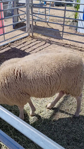 San Nicolás de Los Arroyos, Provincia de Buenos Aires