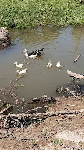 Restaurante Parrilla Fondeadero - Gastronomía y hostelería