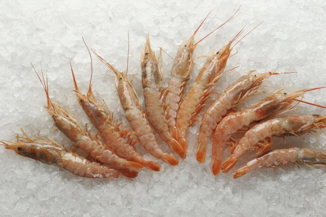 El Besugo Pescadería de Berardi S.A. - San Martín