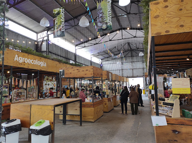 Mercado del Paraná - Gastronomía y hostelería