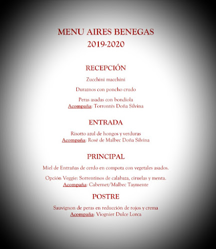 Aires Benegas - San Rafael