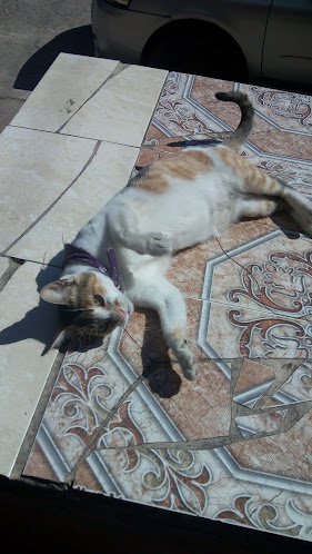 Opinii despre Casa de Comida de Malena în Resistencia - Gastronomía y hostelería