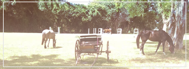 Opinii despre Gato y Mancha în Pilar - Gastronomía y hostelería