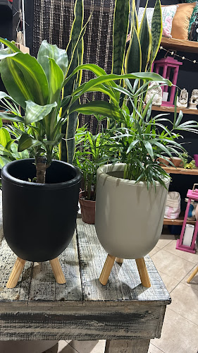 Panaderia Y Confitería