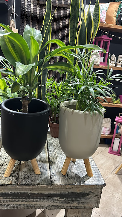 Panaderia Y Confitería