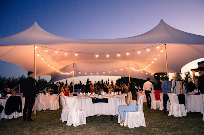 El Leoncito Parrandero-Claudia Courtalón