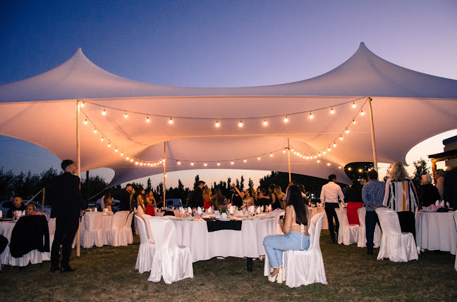 El Leoncito Parrandero-Claudia Courtalón