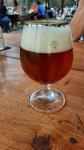 Comentarii opinii despre Los Pinos Café Bar