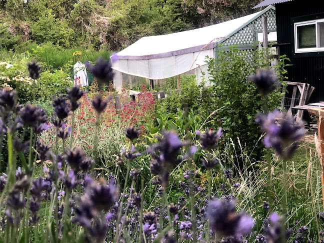 Casa Cassis Restaurant & Boutique de Cocina - Gastronomía y hostelería