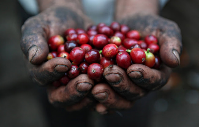 Garay 1755, B7600 Mar del Plata, Provincia de Buenos Aires
