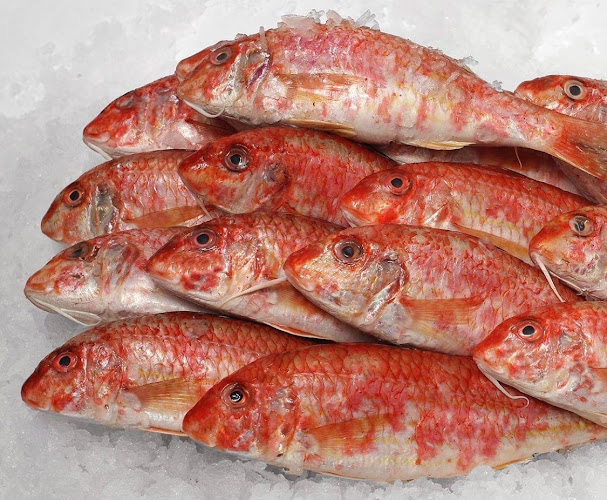 Pescadería y Marisquería Moreno - Gastronomía y hostelería