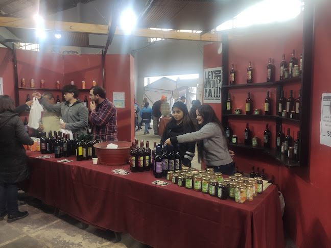 Fiesta del vino de la costa de Berisso - Berisso