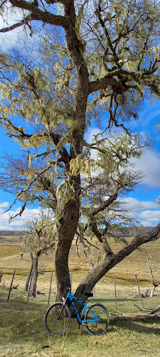 Comentarii opinii despre Delivery al Toke