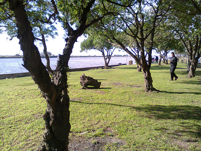 Opinii despre Gral. Lavalle în Gral. Lavalle - Gastronomía y hostelería