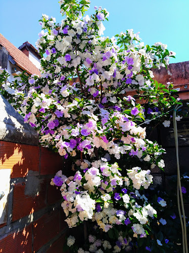 Opinii despre Chico Bar în Munro - Gastronomía y hostelería