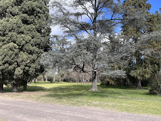 Av. Pres. Raúl R. Alfonsín 2599, B6700 CWS, Provincia de Buenos Aires