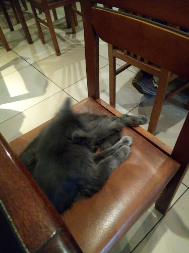 Av. Ejército del Nte. 620, T4000 San Miguel de Tucumán, Tucumán