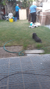 Comentarii opinii despre Servi Food Catering