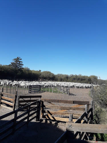 Opinii despre Don Monte în Rawson - Gastronomía y hostelería