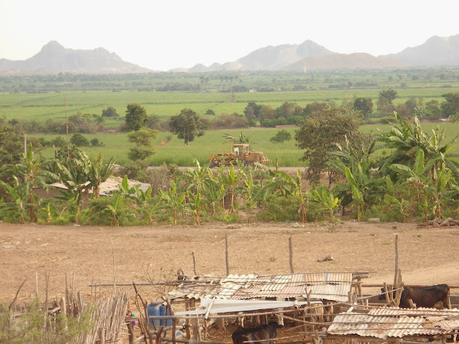 Comentarii opinii despre La Cria