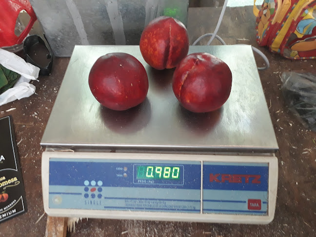 Finca La Promesa - San Martín