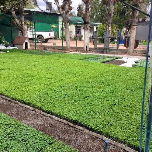 Acceso Este km 1018 Fray Luis Beltrán, M5531 Maipú, Mendoza