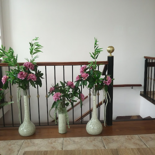 Ruderico - Mar del Plata