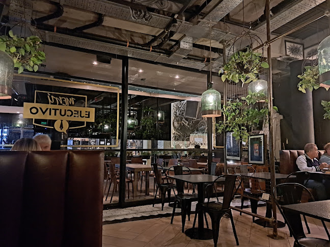 Comentarii opinii despre Rocky Garden