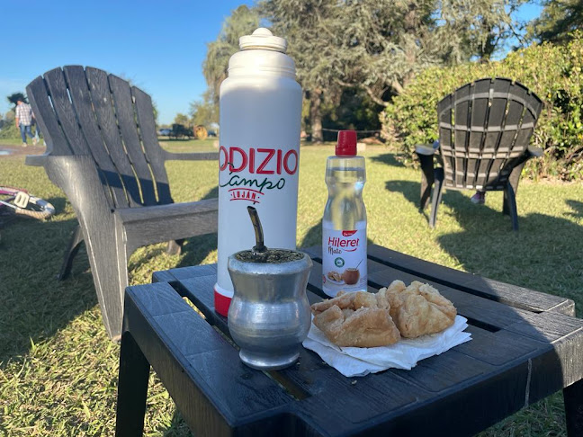 Av. Pres. Raúl R. Alfonsín 2599, B6700 CWS, Provincia de Buenos Aires