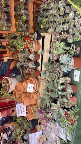 C. los Estudiantes 151, Chorrillos 15064, Perú