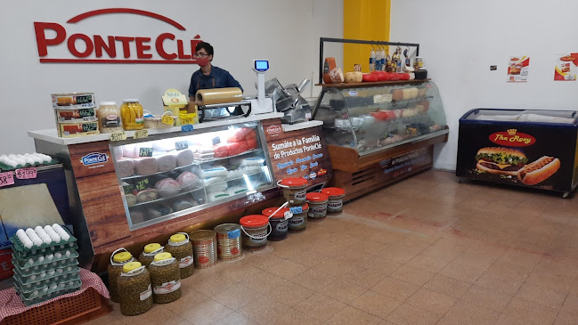 Ponte Clé Lácteos - Concordia